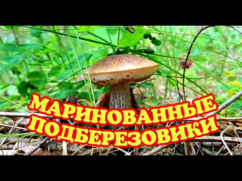 Видео: МАРИНОВАННЫЕ ПОДБЕРЕЗОВИКИ! Правильный рецепт!  #какмариноватьгрибы