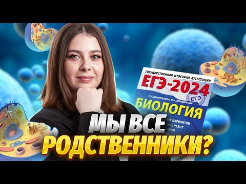 Видео: Клеточная теория для ЕГЭ | Биология ЕГЭ для 10 класса | Умскул