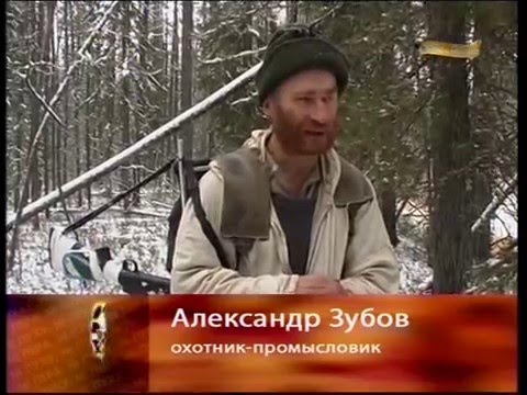 Видео: Фильм про охотника Александра Зубова (часть 1)