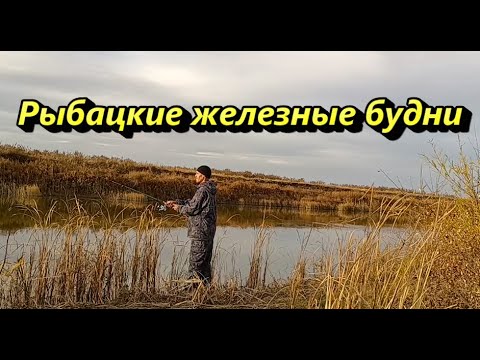 Видео: Рыбацкие железные будни