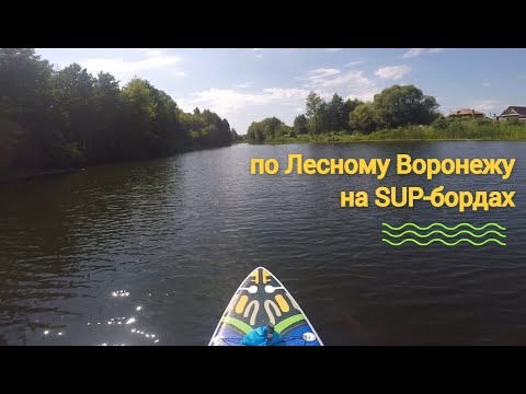 Видео: Сплав на SUP-бордах по реке Лесной Воронеж | г. Мичуринск