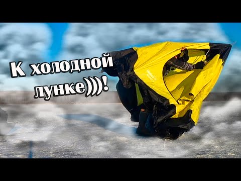 Видео: Рыбалка зимой в палатке! БЕЗМОТЫЛКА?