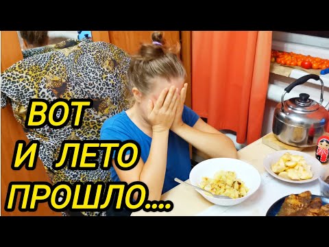 Видео: КУПИЛИ ДОМ В ДЕРЕВНЕ | Вот и лето прошло | Семья в селе | Деревенские будни