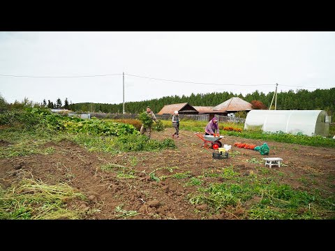 Видео: ЖИЗНЬ В ГЛУХОЙ УРАЛЬСКОЙ ДЕРЕВНЕ | БЫТ БЕЗ ЦИВИЛИЗАЦИИ | КАКИЕ ЗАПАСЫ В ПОГРЕБЕ