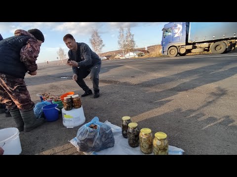 Видео: Торговля на трассе / ГРИБЫ //воспоминания //
