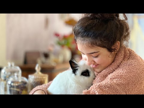 Видео: Белый Брокколи или Сенсационно полноценный обед всего за 15 минут/Кто работает тот ест/К Элине❤️