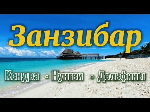 Видео: Занзибар 2025. Нунгви. Мнемба. Дельфины. Кендва. Muyuni beach. #занзибар #танзания