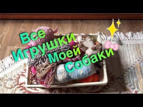 Видео: Все игрушки моей собаки Евы