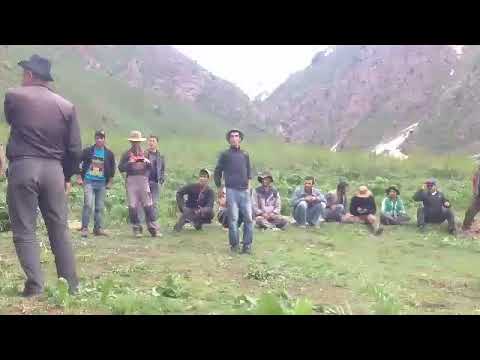 Видео: Д М Боло