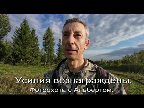 Видео: Фотоохота с Альбертом. Усилия вознаграждены.