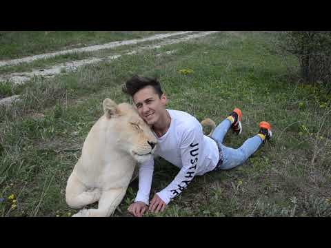 Видео: В обнимку с ЦАРИЦЕЙ САВАННЫ - львицей Гердой !