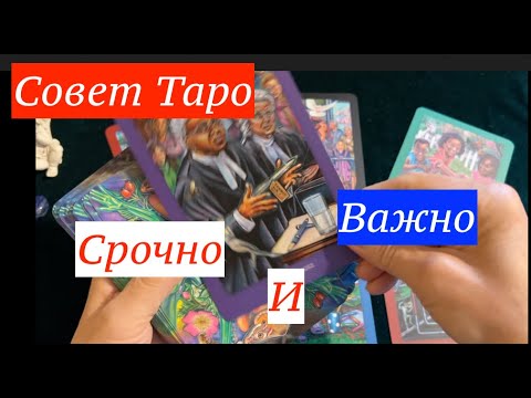 Видео: СРОЧНО и ВАЖНО🔔 Этот надо услышать сейчас🔔🔔✅ КартыТаро/ Гадание на Судьбу/Гадание онлайн