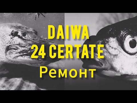 Видео: Daiwa 24 Certate 3000XH, сломался при падении , восстанавливаем