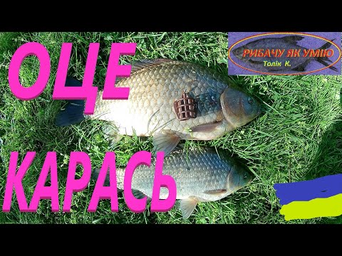 Видео: ОЦЕ КАРАСЬ #РибачуЯкУмію