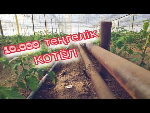 Видео: Жылыжайға отопления   Бәсекелестігі аз болған бизнес #2025 #бизнесидеялар2025 #қияртұздау #ауылдағы