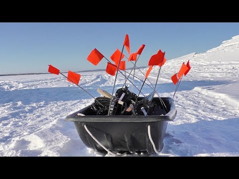 Видео: Вот это рыбалка!!! Щуки на жерлицы. Талакан. Pike pecks in winter.