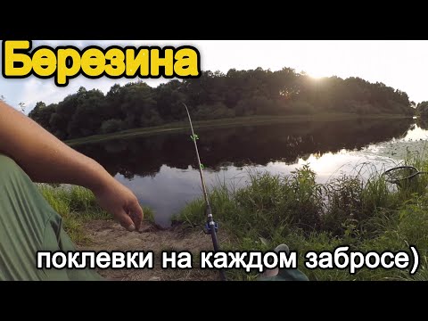 Видео: Рыбалка на Березине -- Рыбалка в Беларуси 2021, Малая Ухолода!