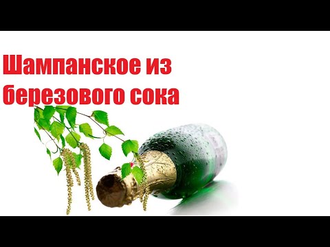 Видео: Шампанское из березового сока в домашних условиях (с изюмом)