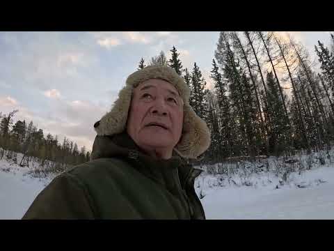 Видео: Поймал лису, жарю щуку.