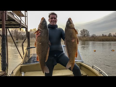 Видео: Подводная Охота Весной. Что Скрывается в Ледяной Воде