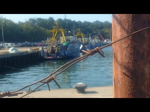 Видео: 🔥НОВОСТИ О ПИОНЕРСКОМ КУРОРТЕ🌊⛱️ НЕ ВЕЗДЕ УДАЛОСЬ ПРОЙТИ, НО КОЕ-ЧТО НОВЕНЬКОЕ УЗНАЛИ💯👍