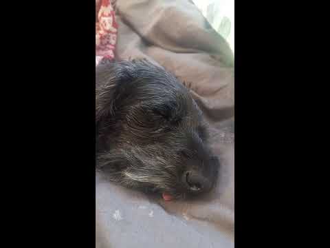 Видео: Марта Добрая  в прямом эфире!
