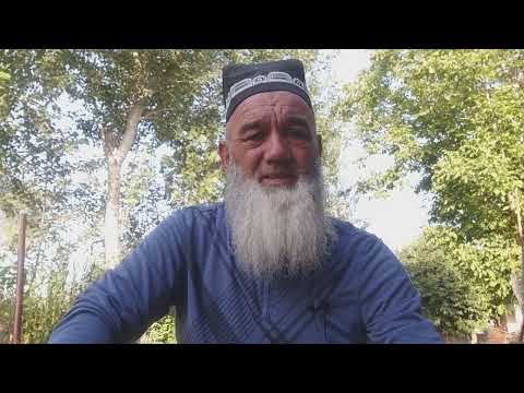 Видео: парвариши..мохи..