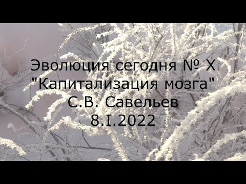 Видео: С.В. Савельев - Капитализация мозга