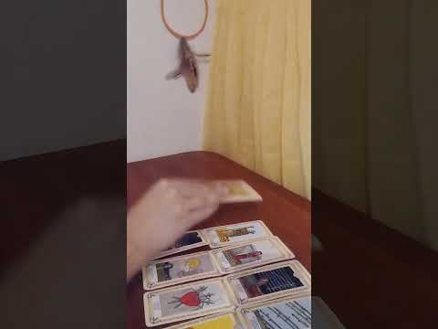 Видео: Үнсіздік❗Жігіт қайта келеме әлде барлығы аяқталдыма⁉️💌