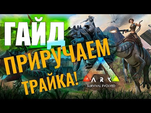 Видео: КАК ПРИРУЧИТЬ ТРАЙКА? #ГАЙД ДЛЯ НОВИЧКОВ! Ark: Survival Evolved #2