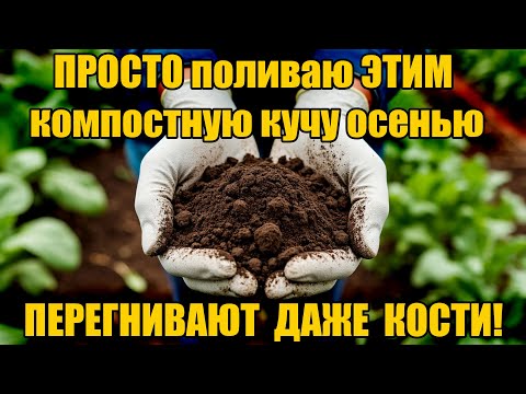 Видео: к весне ПЕРЕГНИВАЮТ ЛИСТЬЯ, БОТВА И ДАЖЕ КОСТИ - делаю так каждую осень