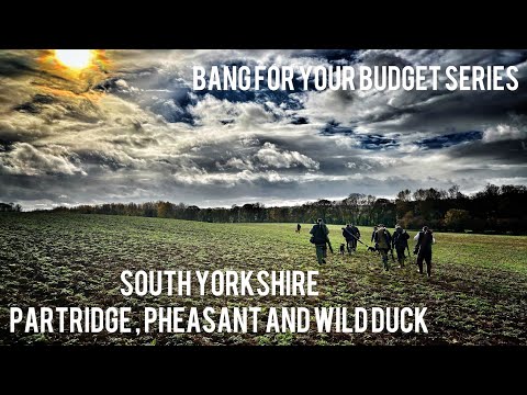 Видео: Бюджетная охота на дичь!