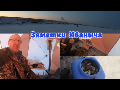 Видео: Зимняя рыбалка на окуня на Братском водохранилище