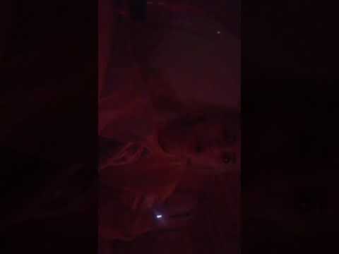 Видео: пацанки. прямой эфир Ани Михеевой, 3.11.2018