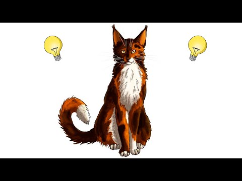 Видео: СОЛ - ГЕНИЙ? КОТЫ-ВОИТЕЛИ