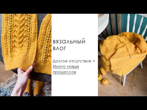 Видео: ВЯЗАЛЬНЫЙ ВЛОГ. Мохеровый кардиган , новый жилет , топ спицами , сумка крючком , планы на МК.