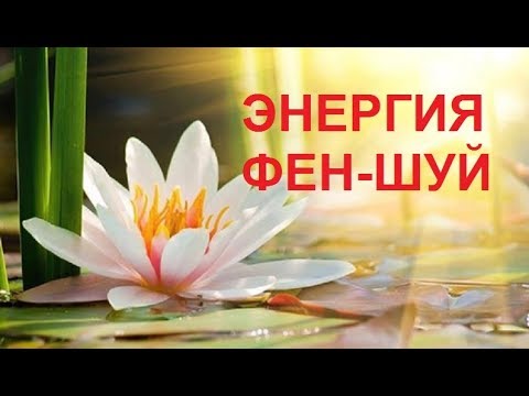 Видео: Что нельзя держать дома по фен-шуй
