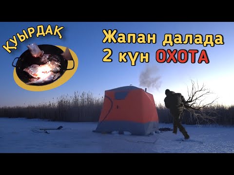 Видео: 2 күн табиғатта аңшылық. Қояннан қуырдақ. Два дня на охоте.