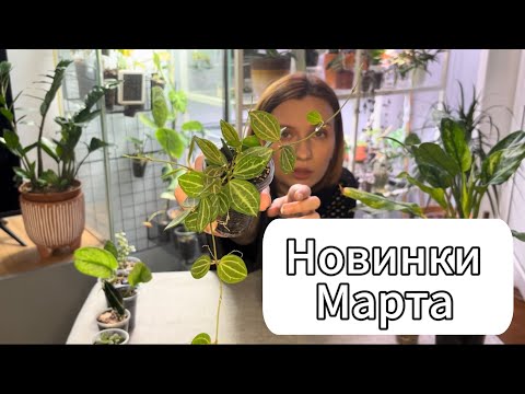 Видео: Обзор новинок Марта | Распаковка