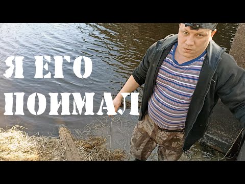Видео: МАГНИТНАЯ РЫБАЛКА 2023. ВЫЛОВИЛ ЧТО ХОТЕЛ.ЧУТЬ НЕ ПОТЕРЯЛ МАГНИТ. НАШЕЛ НЛО