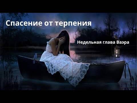 Видео: Спасение от терпения