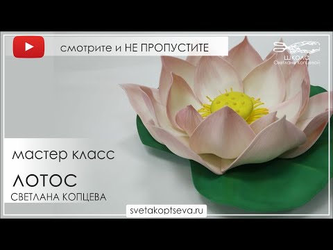 Видео: бесплатный мастер класс ЛОТОС ИЗ ФОАМИРАНА. шаблоны в описании