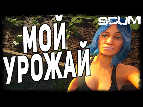 Видео: SCUM ● МОЙ ПЕРВЫЙ УРОЖАЙ ● СКАМ В 2024 ГОДУ ЛУЧШИЙ СИМУЛЯТОР ВЫЖИВАНИЯ