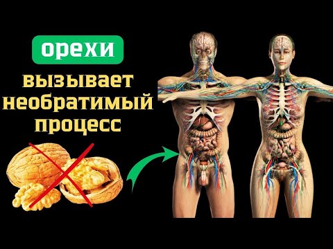 Видео: Что будет с вашим телом, если вы начнёте есть орехи каждый день?