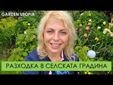 Видео: Дъждовна сутрин в СЕЛСКАТА ГРАДИНА
