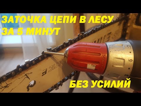 Видео: Заточка пильной цепи за 5 минут. самый простой способ.