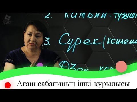 Видео: Ағаш сабағының ішкі құрылысы. 7 сынып.