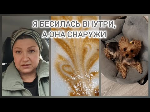 Видео: ДЕНЬ СУРКА 