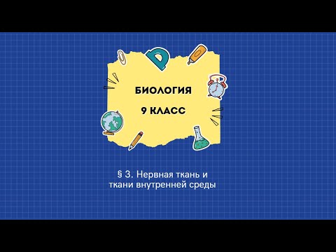 Видео: § 3. Нервная ткань и ткани внутренней среды
