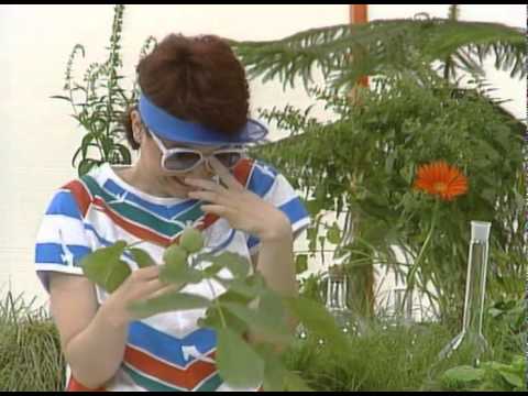 Видео: Бушава азбука - О